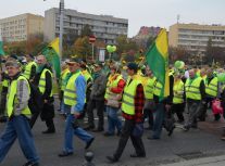 Manifestacja działkowców (10.10.13)